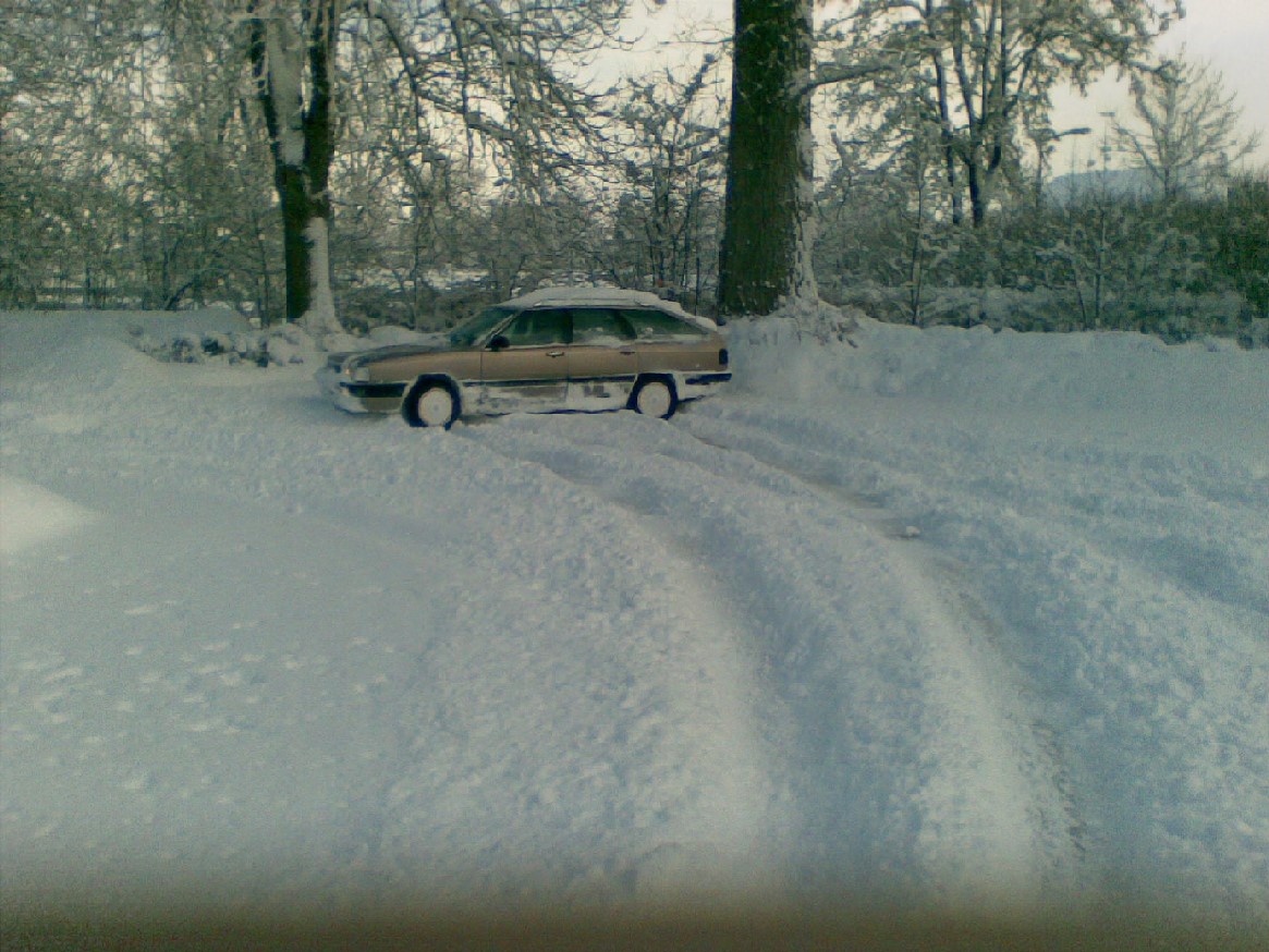 schnee02.jpg
