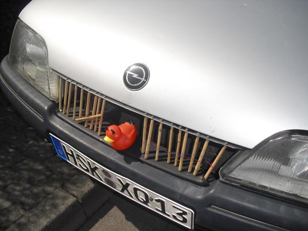 ente.jpg