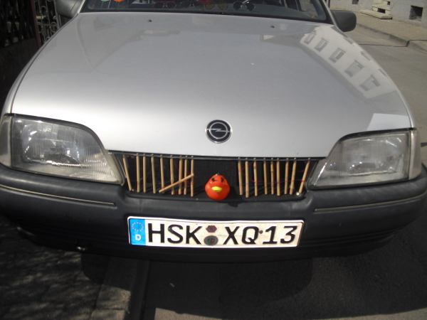 ente2.jpg